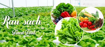 (HỘ KINH DOANH) VÕ HỒNG TRUNG